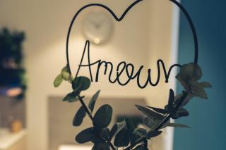 Mon Nid d'Amour - Jacuzzi Privatif - Centre Ville du Mans - 7