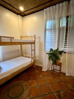 Paruparong Bughaw Ecofarm Resort - 1