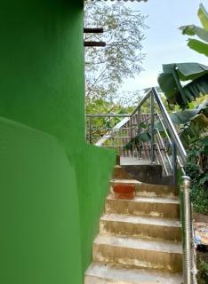 Home- the Homestay - 1