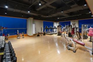 Holiday Inn Shanghai Pudong Kangqiao by IHG - Free shuttle bus to Disney land, Ins Swimming Pool - 0