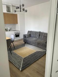 Modern Apartment in Žaliakalnis, Kaunas - 7