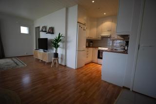 Scandinavian Sauna Apartment - 7
