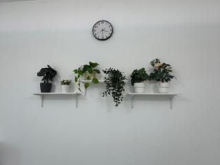 Newly Furnished, Bright and Spacious Studio in France Cluster, International City - 2