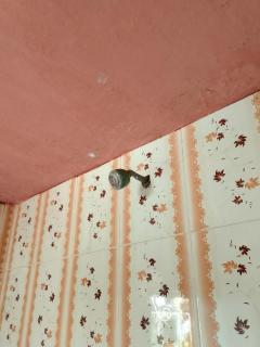 Home- the Homestay - 7