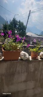 guest house lela rezo - 4