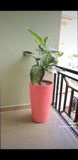 Comfort furnished apartments - 0
