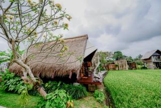 Ubud Rice Field Stay by WAHM Hotel Management - 3