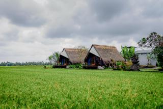 Ubud Rice Field Stay by WAHM Hotel Management - 9