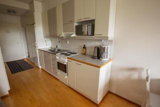 Lil Haven Cozy Studio with Sauna, Glassed Balcony and Free Parking - 4