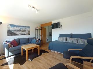 Sunny 5 guests apartment by Moosfluh gondola - 1