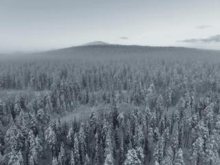 The Crown of Fjällen by Hilla Villas - 1