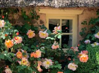 Idyllic English Thatched Cottage - The Coach House - 2