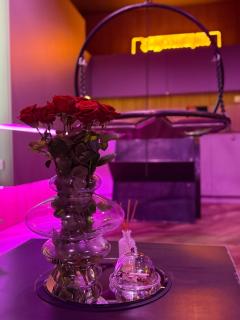 BDSM SWING KLIMA TOP Jakośc, Apartament Idelny na Prezent ,Lustra wszedzie ,SUPER wygodne łóżko , huśtawka , tylko dla dorosłych ADULTS ONLY Parking w cenie - 5