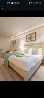 CEO suite in aipl joystreet - 0