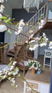 NAD JEZIORAMI Niedźwiady - 8