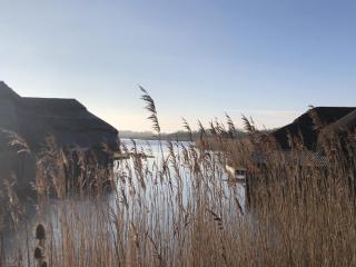 Dog friendly cottage on the edge of the Norfolk Broads - 6