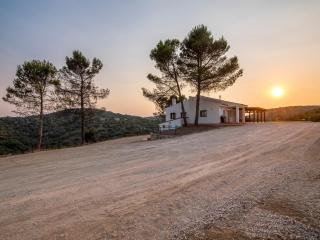 Casa Clarita hasta 21 personas, piscina a 40 min de Madrid y aeropuerto - 1