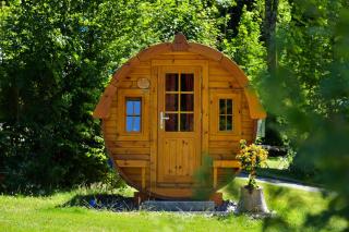 EuroParcs Biggesee - 9