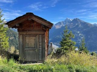 Chalet spacieux proche pistes avec terrasse sud - FR-1-690-29 - 4