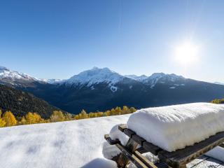 Chalet spacieux proche pistes avec terrasse sud - FR-1-690-29 - 2