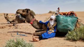 Planet Camp Désert Tours - 2