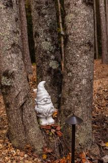 Tiny Home Lookout Mountain - Near Downtown & Falls - 7