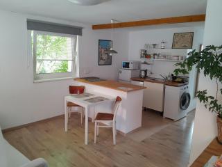 Sunny studio Prague - 5