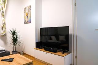 Wunderschönes Apartment im Zentrum von Wels - 7