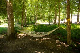 Cricket by the Creek - Creek, Gym, Trails, Kayaks - 7