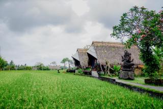 Ubud Rice Field Stay by WAHM Hotel Management - 2
