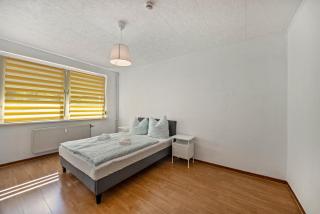 Wohnung am Geiseltalsee - 3