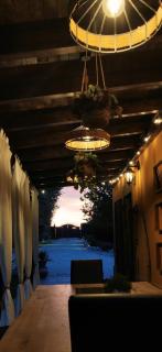 La Casa del Bosco - 9