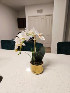 Frisco Vibes With Pool Gym and Elegant 1BR Apart - Frisco - 9