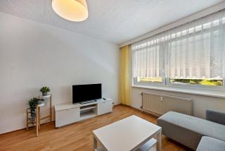 Wohnung am Geiseltalsee - 9