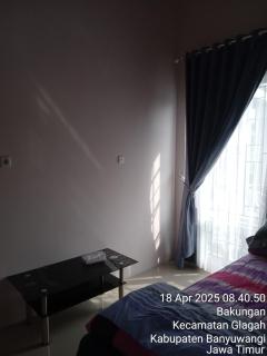 eLvira Homestay - 1