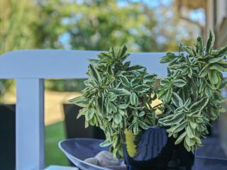 Holiday Home Swavi - from the sea by Interhome - 8