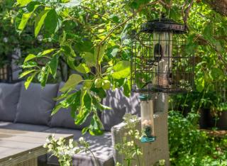 Harland House - 6