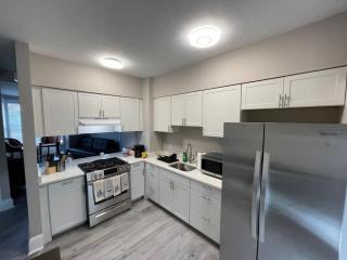 Newly Renovated Beautiful Apartment in Cleveland - 3