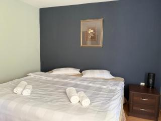 Casa Larisa Borsa - 6