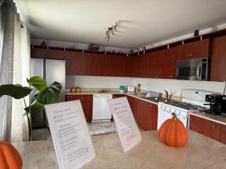 Casa Larisa Borsa - 2