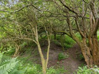 Holiday Home Sorja - 420m from the sea by Interhome - 7