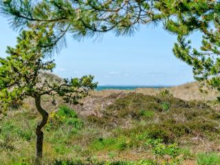 Holiday Home Petersen - 50m from the sea by Interhome - Læsø - 4