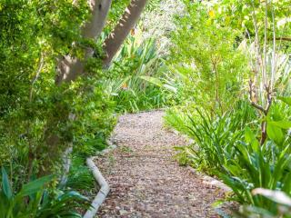 Connie’s Cottages - 9