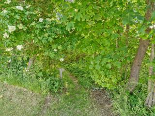 Holiday Home Dvonta - 170m from the sea by Interhome - 7