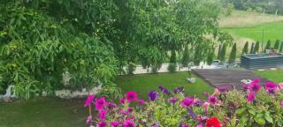 Gemütliche Wohnung in St Georgen nähe Attersee - 2