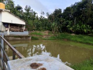 HALASE HOMESTAY - Mudigere - 8