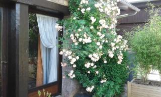 Gîte De Kerberso - 8