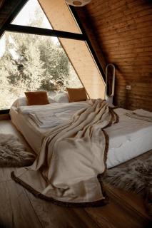 Black Roof - 4