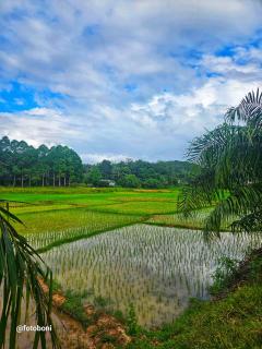 Swiss Bonihouse Koh Yao Yai - 2