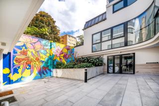 Peaceful Studio Retreat in Paddington - 8